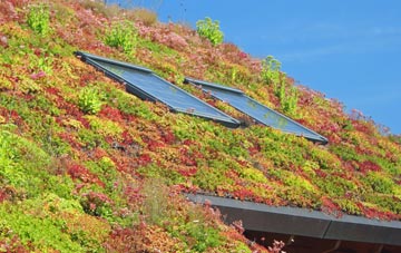 Hundleby living roof systems
